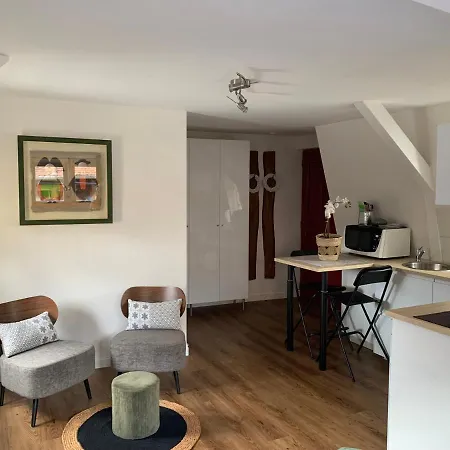 Appartement Coquet Centre Colmar